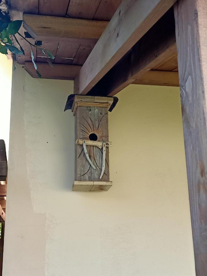 Agriturismo Il Cipresso Vada Exterior photo